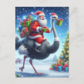 サンタとダチョウフェスティバルクリスマス ポストカード (正面)