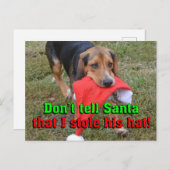 サンタに彼の帽子を盗んだなんて言うなよ シーズンポストカード (正面/裏面)