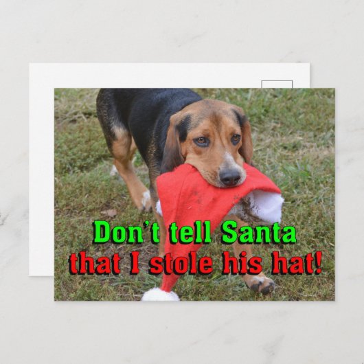サンタに彼の帽子を盗んだなんて言うなよ シーズンポストカード (正面/裏面)