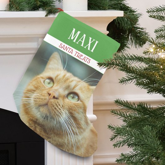 サンタのおやつ 猫 写真 パーソナライズ スモールクリスマスストッキング