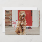 サンタのお気に入りのペット写真ホリデーカード 招待状 (正面)