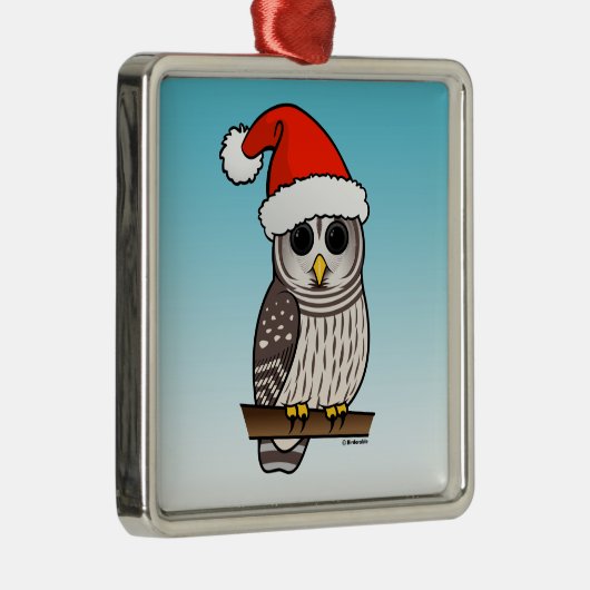 サンタのアメリカフクロウのクリスマス メタルオーナメント (右)