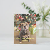 サンタのクリスマスの郵便はがきのためのピットブルパスワード シーズンポストカード (スタンド正面)