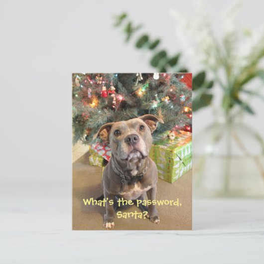 サンタのクリスマスの郵便はがきのためのピットブルパスワード シーズンポストカード (スタンド正面)