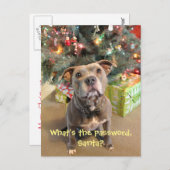 サンタのクリスマスの郵便はがきのためのピットブルパスワード シーズンポストカード (正面/裏面)