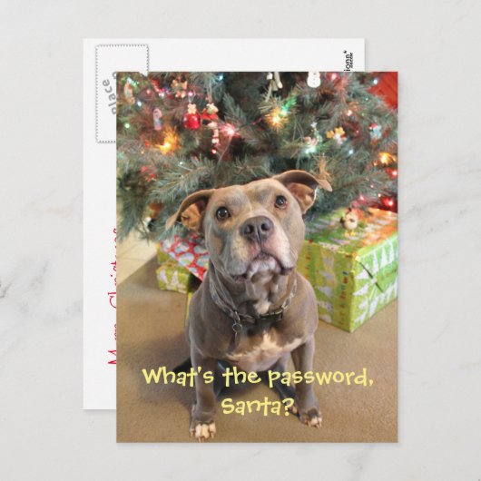 サンタのクリスマスの郵便はがきのためのピットブルパスワード シーズンポストカード (正面/裏面)