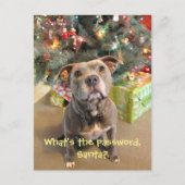 サンタのクリスマスの郵便はがきのためのピットブルパスワード シーズンポストカード (正面)