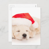 サンタのゴールデン・リトリーバーの子犬 シーズンポストカード (正面/裏面)