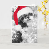 サンタのシーズー（犬）のTzuの女の子のブランクの挨拶状 カード (黄色い花)