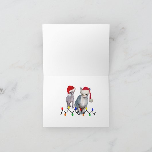 サンタのスフィンクス·キッ信じテンさん シーズンカード (内部)