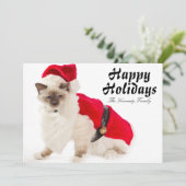 サンタのスーツのBirman猫 シーズンカード (スタンド正面)