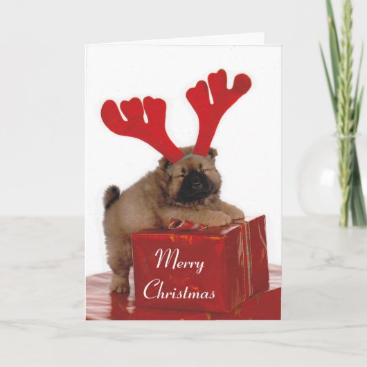 サンタのヘルパー シーズンカード (正面)