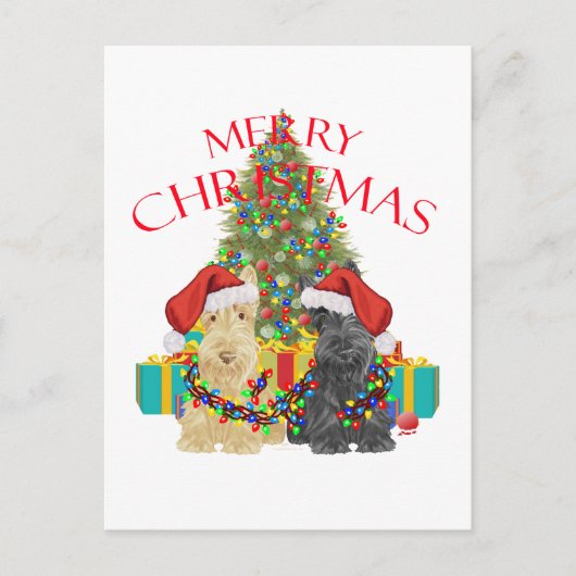 サンタのヘルパー シーズンポストカード (正面)