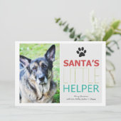 サンタのヘルパー – ペットフォトホリデーフラットカード シーズンカード (スタンド正面)