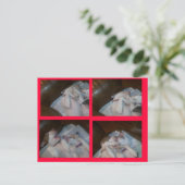 サンタのボクシングMATILDAS WAITIN シーズンポストカード (スタンド正面)