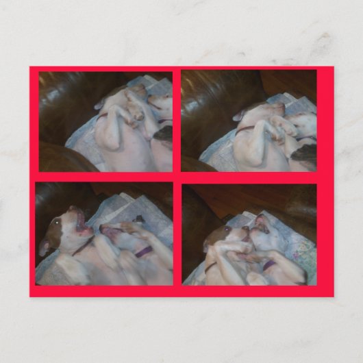 サンタのボクシングMATILDAS WAITIN シーズンポストカード (正面)