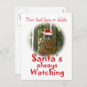 サンタのリスは常に見ています シーズンポストカード (正面/裏面)
