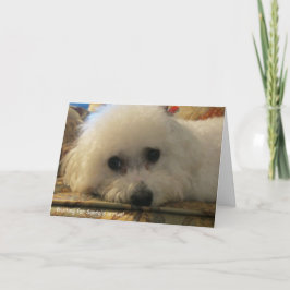 「サンタの到着を待っている」 シーズンカード