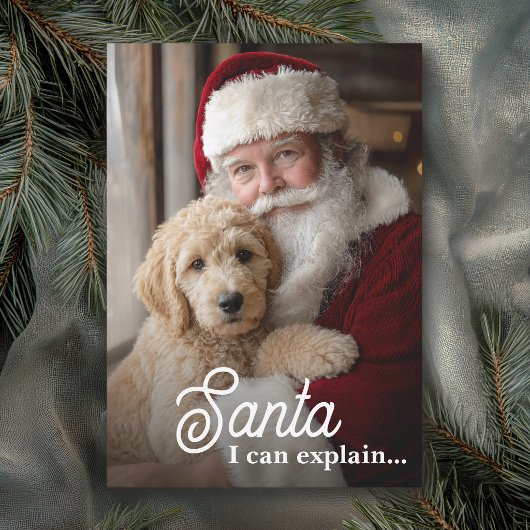 サンタの前で言い訳する ペット クリスマス 写真