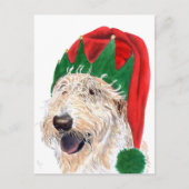 サンタの助手のLabradoodleの郵便はがき シーズンポストカード (正面)