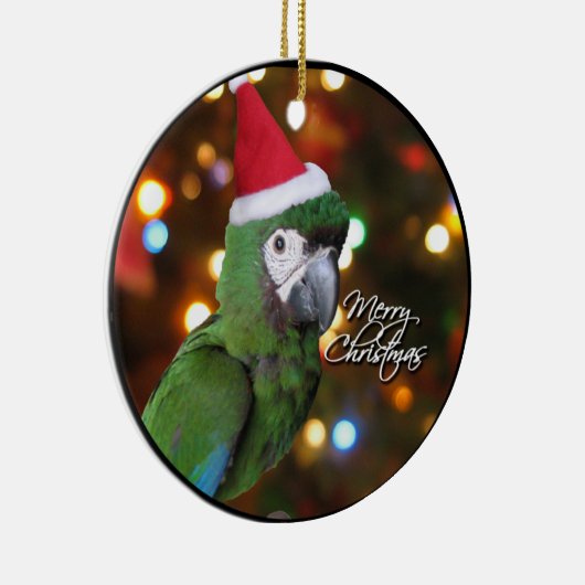 サンタの厳しいコンゴウインコのクリスマスのオーナメント セラミックオーナメント (右)