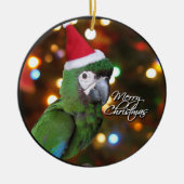 サンタの厳しいコンゴウインコのクリスマスのオーナメント セラミックオーナメント (正面)