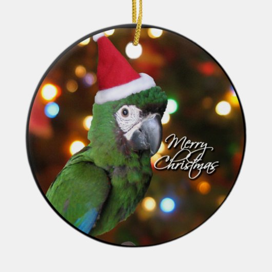 サンタの厳しいコンゴウインコのクリスマスのオーナメント セラミックオーナメント (正面)