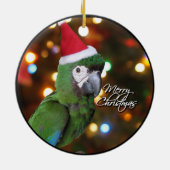 サンタの厳しいコンゴウインコのクリスマスのオーナメント セラミックオーナメント (裏面)