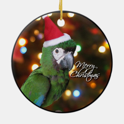 サンタの厳しいコンゴウインコのクリスマスのオーナメント セラミックオーナメント (裏面)