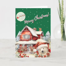 サンタの夜の飛行