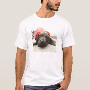 サンタの夢 – ドイツのショートヘアの子犬 Tシャツ