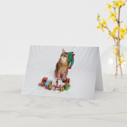 サンタの子猫小妖精や小人クリスマスカード カード (黄色い花)