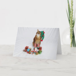 サンタの子猫小妖精や小人クリスマスカード カード