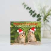 サンタの小さい助手のベビーのシマリス シーズンポストカード (スタンド正面)