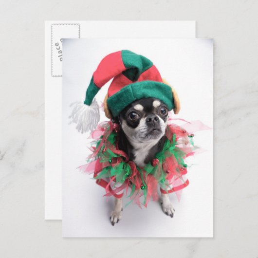 サンタの小さい助手の小妖精や小人犬 シーズンポストカード (正面/裏面)