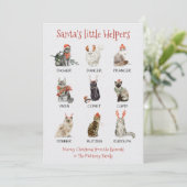 サンタの小さなヘルパー猫トナカイの名前 シーズンカード (スタンド正面)