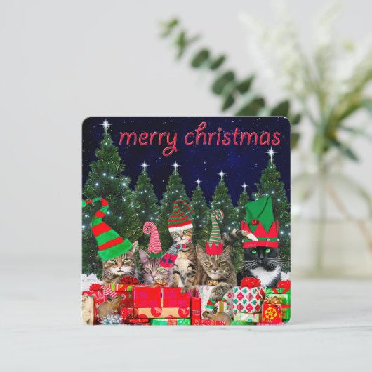 「サンタの小さな口」 - Cat Christmas Card (スタンド正面)