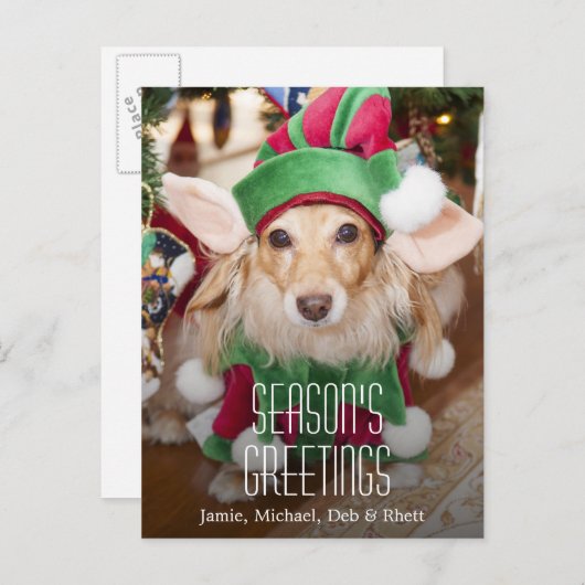 サンタの小妖精や小人の衣裳を身に着けているダックスフント シーズンポストカード (正面/裏面)