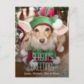 サンタの小妖精や小人の衣裳を身に着けているダックスフント シーズンポストカード (正面)