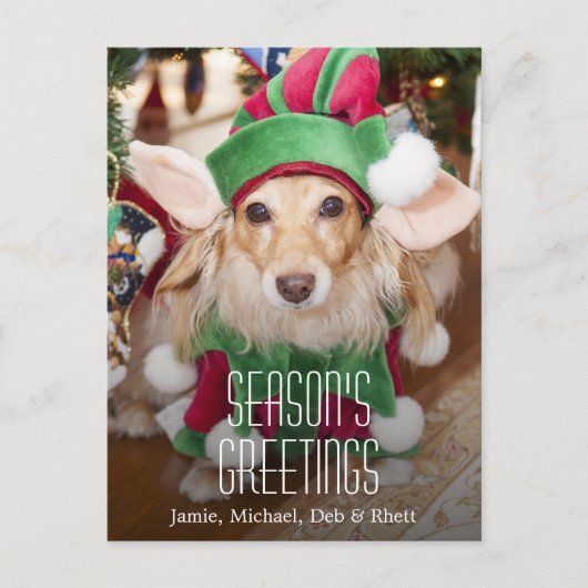 サンタの小妖精や小人の衣裳を身に着けているダックスフント シーズンポストカード (正面)