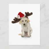 サンタの帽子およびトナカイの耳を搭載する子犬 シーズンポストカード (正面)