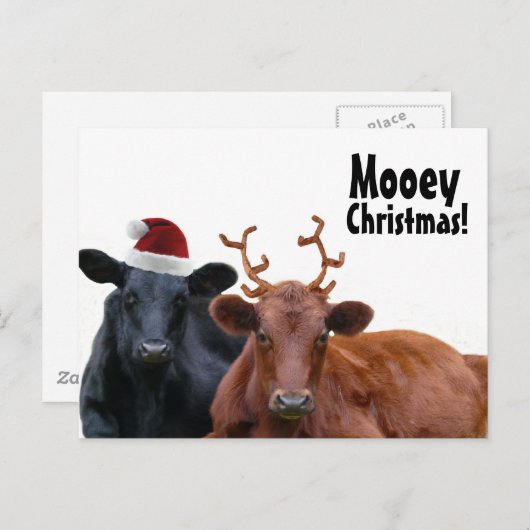サンタの帽子および(雄ジカの)枝角のクリスマスの休日牛 シーズンポストカード (正面/裏面)