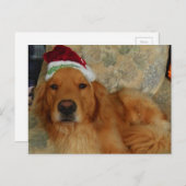 サンタの帽子とのクリスマスのゴールデン・リトリーバー シーズンポストカード (正面/裏面)