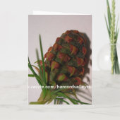 サンタの帽子のモルモット シーズンカード (裏面)