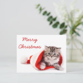 サンタの帽子の子ネコ シーズンポストカード (スタンド正面)