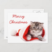 サンタの帽子の子ネコ シーズンポストカード (正面/裏面)