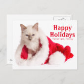 サンタの帽子のBirman猫 シーズンポストカード (正面/裏面)
