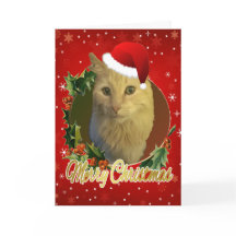 サンタの帽子をかぶったかわいい猫 クリスマス