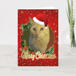 サンタの帽子をかぶったかわいい猫 クリスマス