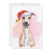 サンタの帽子をかぶったウィペット ウィペットのクリスマスカード